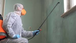 Best Asbestos and Lead Testing During Mold Inspection  in Baidland, PA